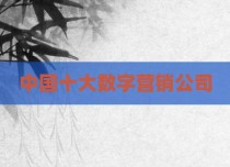 中国十大数字营销公司