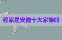 程家是安徽十大家族吗