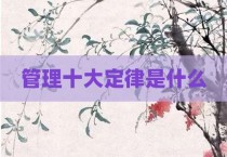 管理十大定律是什么
