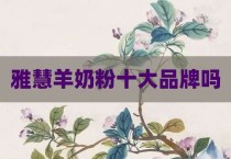 雅慧羊奶粉十大品牌吗