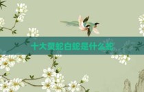 十大灵蛇白蛇是什么蛇