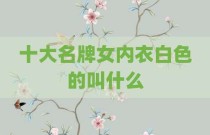 十大名牌女内衣白色的叫什么