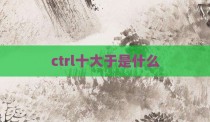 ctrl十大于是什么