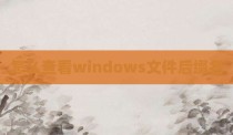 怎么查看windows文件后缀名