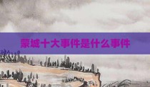 蒙城十大事件是什么事件
