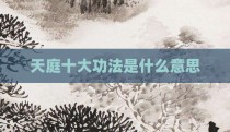 天庭十大功法是什么意思