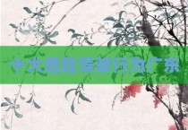 十大危险驾驶行为广东