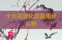 十大品牌化妆品用什么粉