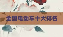 全国电动车十大排名