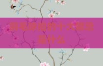 羽毛球拍的十大禁忌是什么