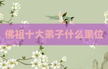 佛祖十大弟子什么果位