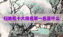 扫地机十大排名第一名是什么