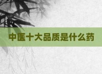 中医十大品质是什么药