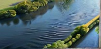 梦见发大水是什么征兆
