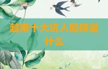 越南十大坑人陷阱是什么