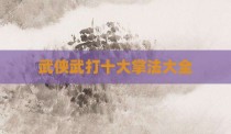 武侠武打十大掌法大全