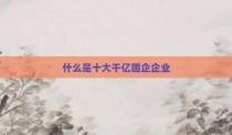 什么是十大千亿国企企业