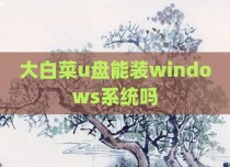 大白菜u盘能装windows系统吗