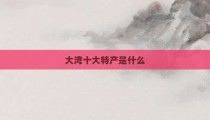 大湾十大特产是什么
