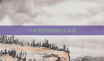 十大悍匪熊猫叫什么来着