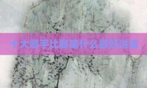十大歌手比赛唱什么歌好说唱