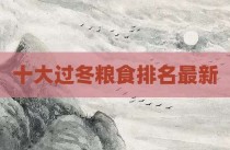 十大过冬粮食排名最新