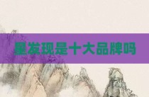 星发现是十大品牌吗