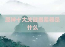 原神十大关键搜索器是什么