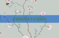 中国最好的十大洗发水