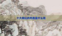 十大网红的死因是什么呢