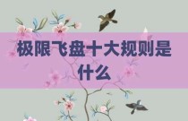 极限飞盘十大规则是什么