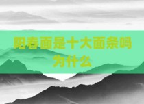 阳春面是十大面条吗为什么
