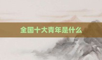 全国十大青年是什么