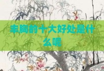 丰胸的十大好处是什么呢