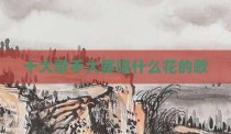 十大歌手大赛唱什么花的歌