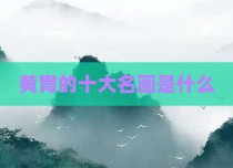 黄胄的十大名画是什么
