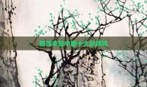 新洋丰是中国十大品牌吗