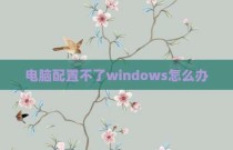 电脑配置不了windows怎么办