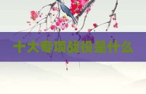 十大专项战役是什么