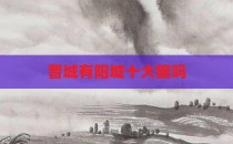 晋城有阳城十大碗吗