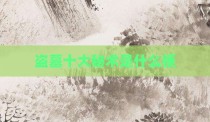 盗墓十大秘术是什么梗
