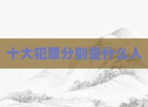 十大犯罪分别是什么人