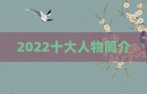2022十大人物简介