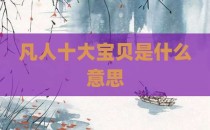 凡人十大宝贝是什么意思