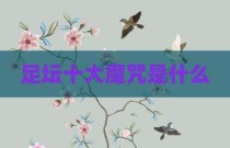 足坛十大魔咒是什么