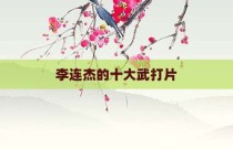 李连杰的十大武打片