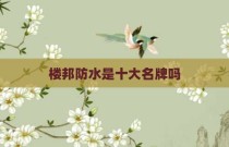 楼邦防水是十大名牌吗