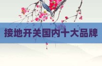 接地开关国内十大品牌