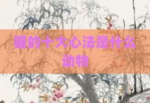 猫的十大心法是什么动物
