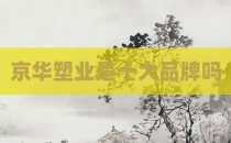 京华塑业是十大品牌吗